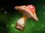 Vital Toadstool