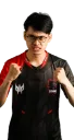 Dreamocel