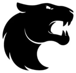 FURIA Esports