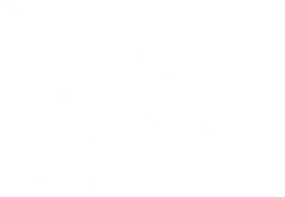 Zero Tenacity