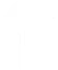 BRUTE