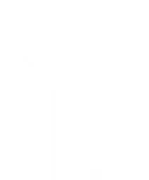 BRUTE