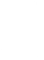 Zerolag Esports