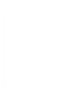 Shopify Rebellion