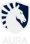 Team Liquid ID