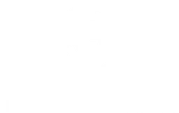 Team Secret