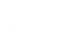 Team Secret Whales
