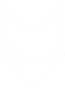 Team Lynx