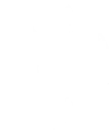 Partizan Sangal