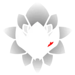 NCG Esports