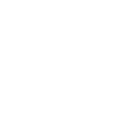 Invictus Gaming