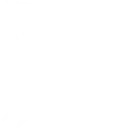 Sunset Ravens