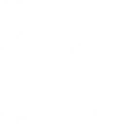 Sunset Ravens
