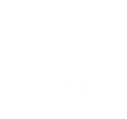 Shark Attack