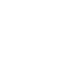UP2UMEDIA Cebulaki