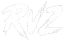 Team RVZ