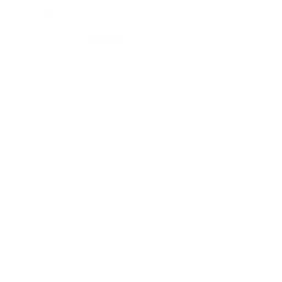SK Gaming