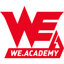 Team WE Academy