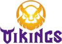 MGN Vikings Academy