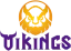 MGN Vikings Academy