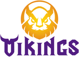 MGN Vikings Academy