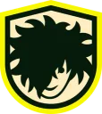 Rostik Team