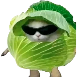 Lechuga Gaming
