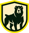 SoloTeam