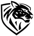 Ilbirs eSports