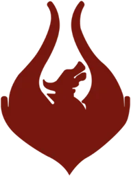 Team Phoenix