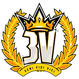3v Team