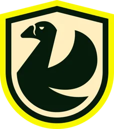 NS Team